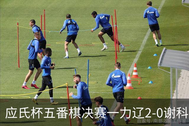 应氏杯五番棋决赛一力辽2-0谢科 率先拿到赛点