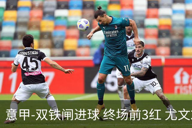 意甲-双铁闸进球 终场前3红 尤文2球落后2-2战平